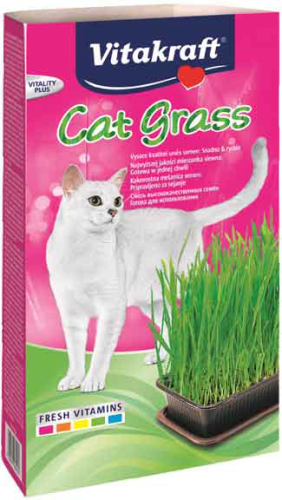 CAT GRAS 120G-TRAWA DLA KOTA